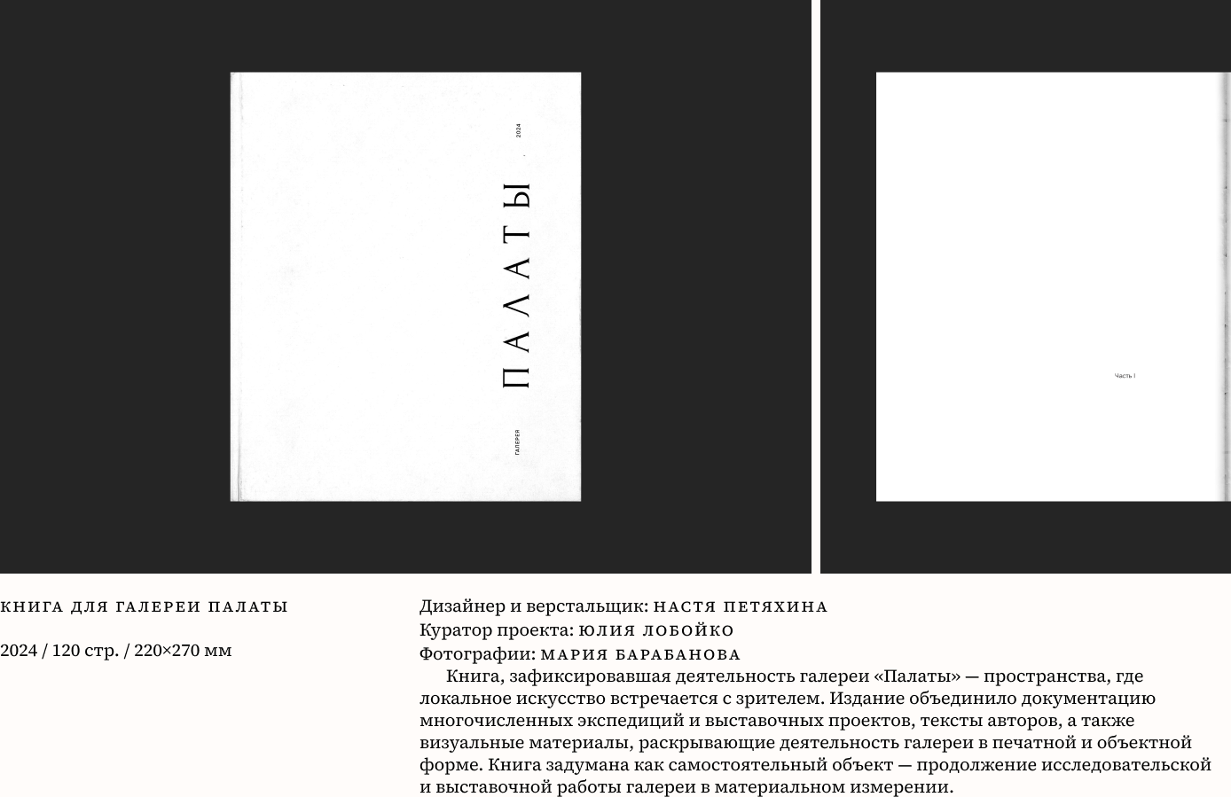 Проект 13
